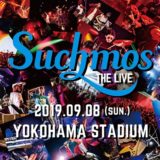 “Suchmos THE LIVE”YOKOHAMA STADIUM【独占生中継】をたった800円で見る裏技とは！？